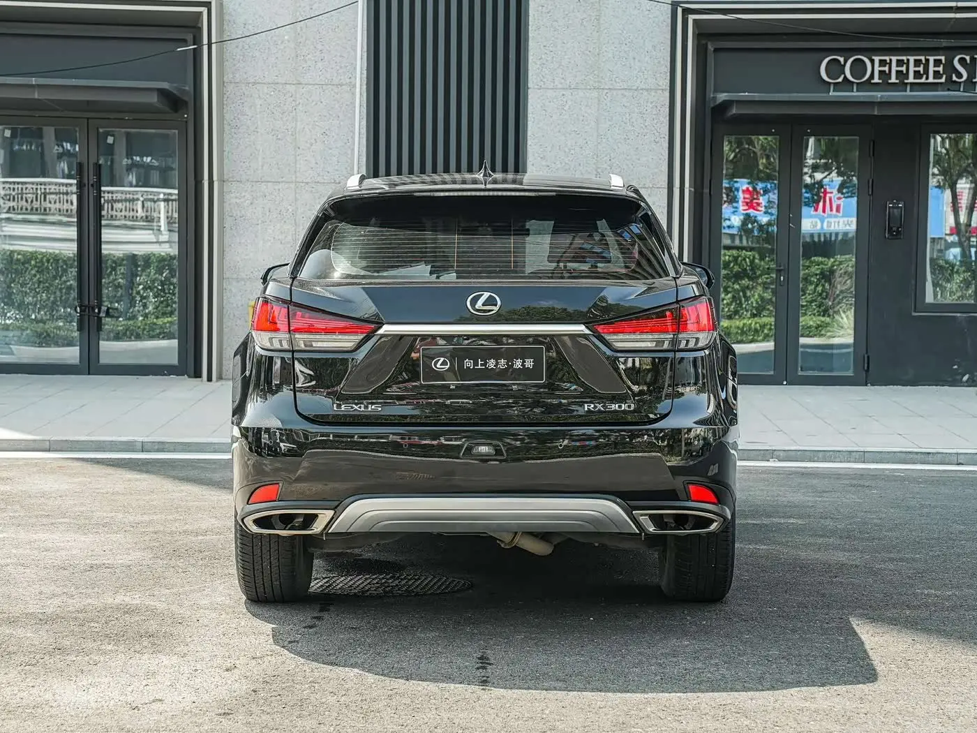 Lexus RX 2020 — Фото 5/20