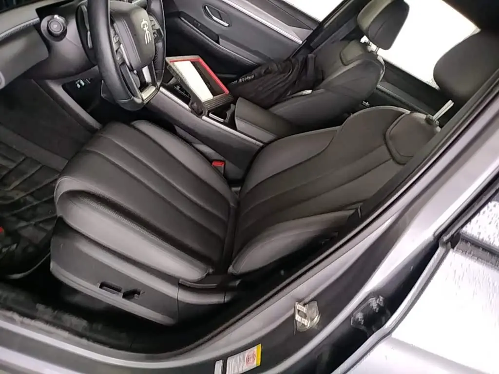 BYD Song Pro New Energy 2025 — Photo 11/20