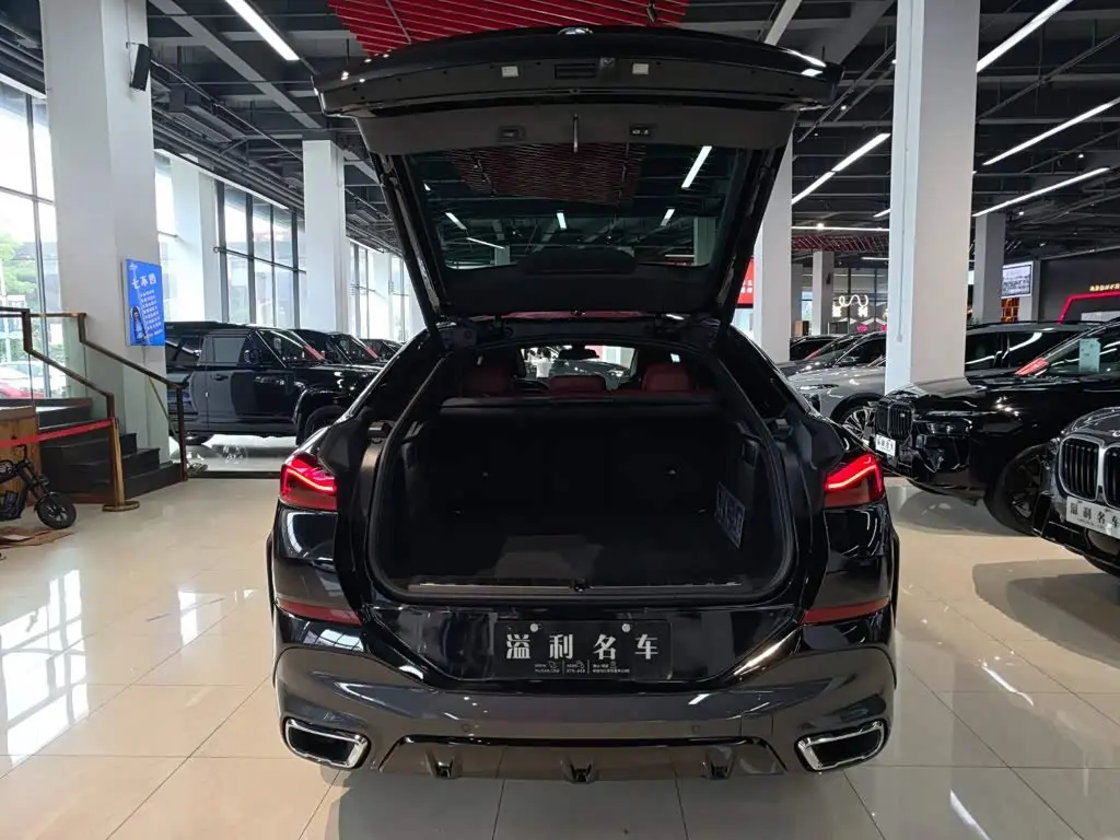 BMW X6 2021 — Photo 11/20