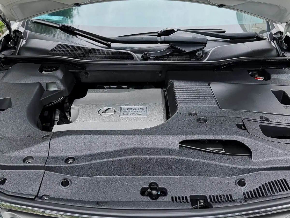 Lexus RX Classic 2015 — Photo 7/15
