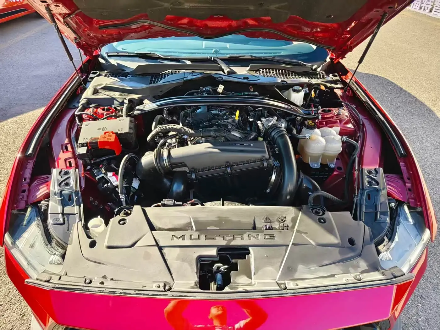 Ford Mustang 2024 — Photo 14/19