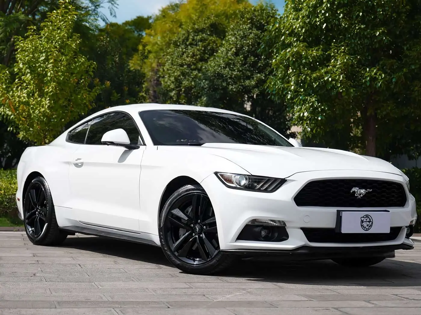 Ford Mustang 2017 — Şəkil 3/14