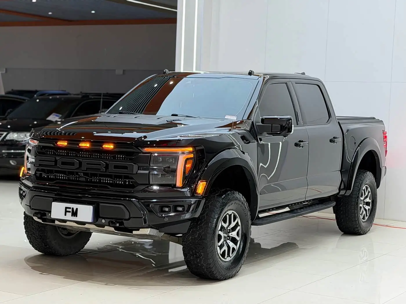 Ford F-150 Raptor 2023 — Фото 4/19