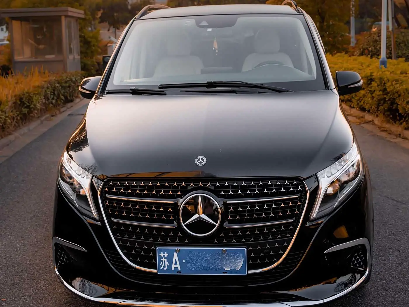Mercedes-Benz V-Class 2019 — Фото 2/20