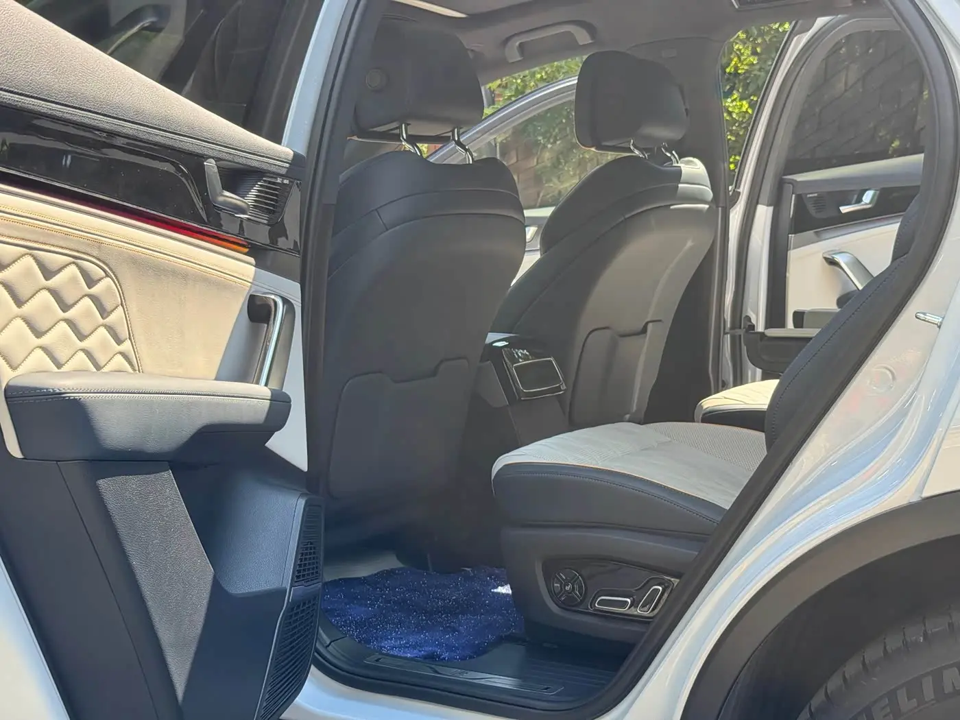 BYD Tang New Energy 2024 — Photo 10/12