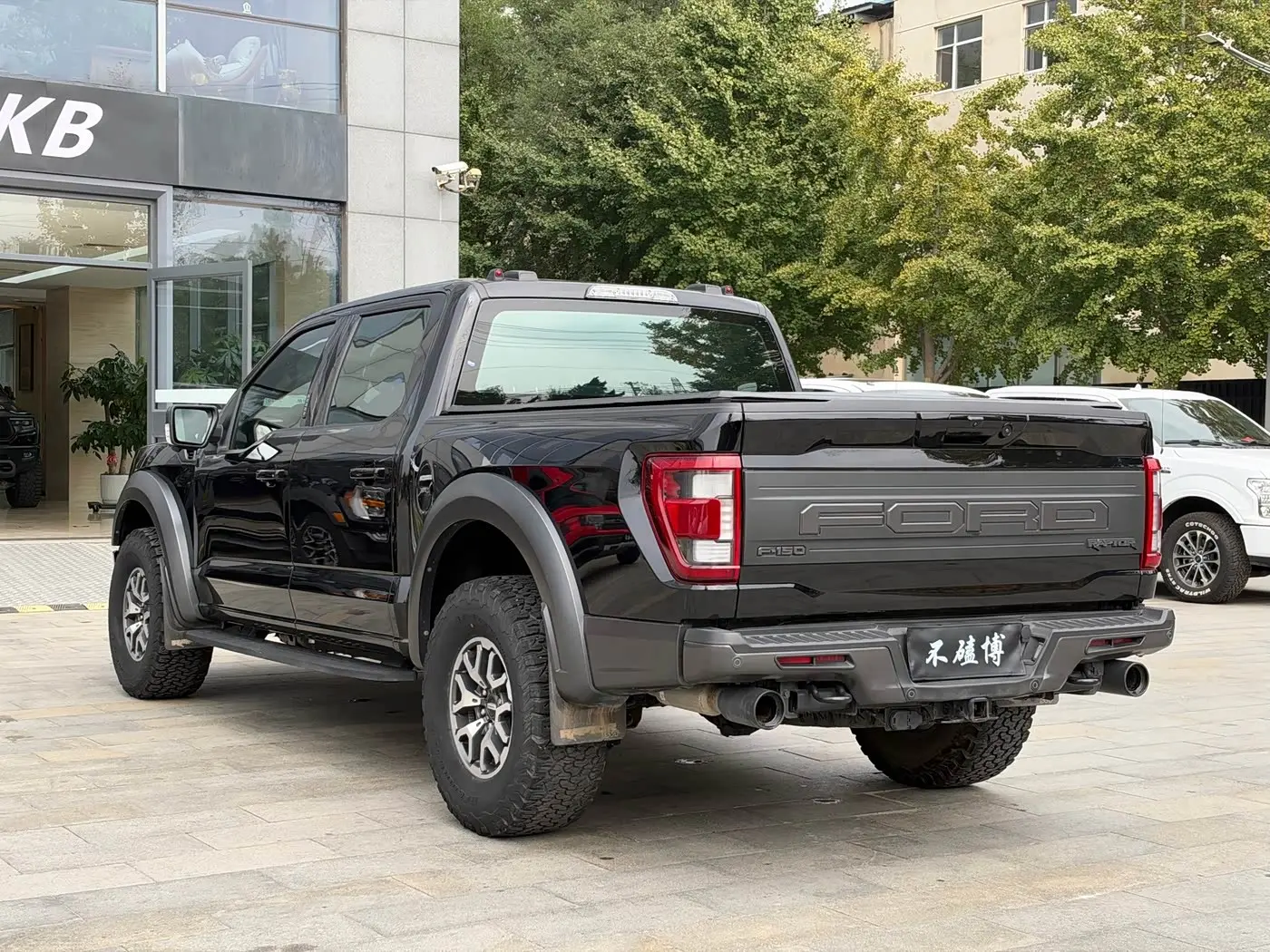 Ford F-150 Raptor 2023 — Photo 13/13