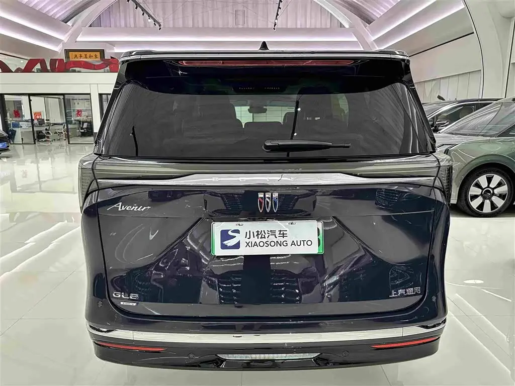 Buick GL8 New Energy 2025 — Photo 19/19