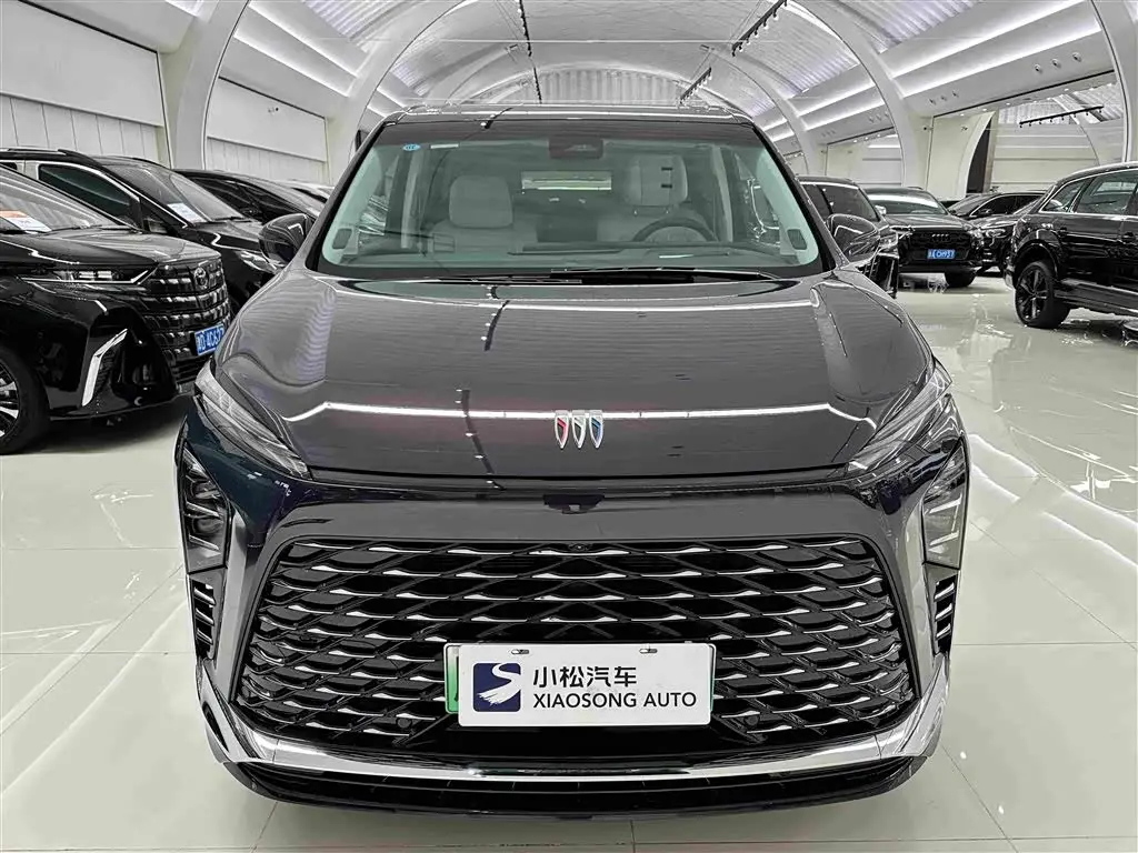 Buick GL8 New Energy 2025 — Photo 2/19