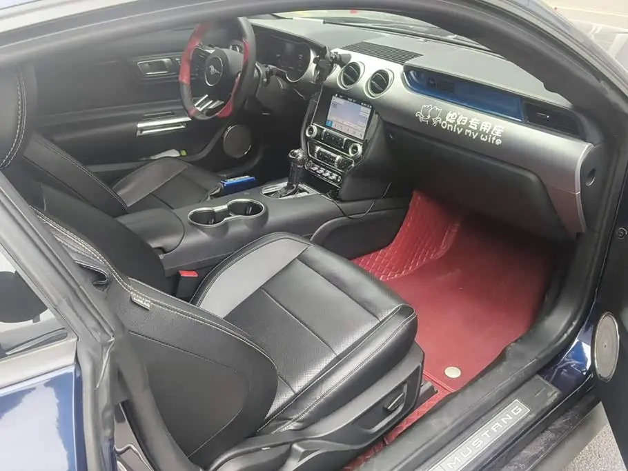 Ford Mustang 2021 — Photo 8/16