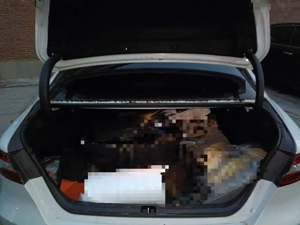 Toyota Camry 2021 — Photo 15/20