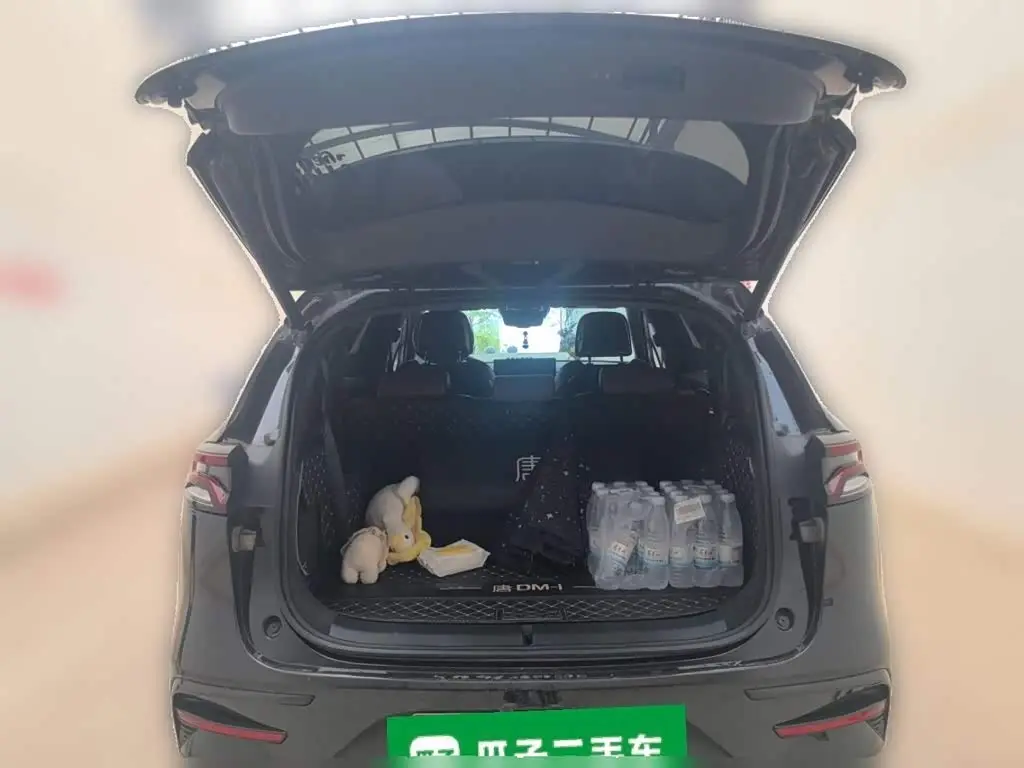BYD Tang New Energy 2022 — Photo 20/20