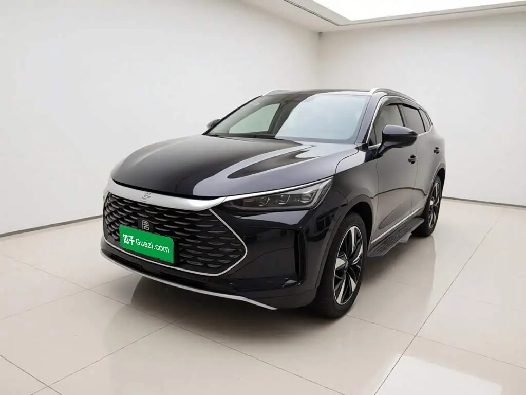BYD Tang New Energy 2024 — Photo 1/20