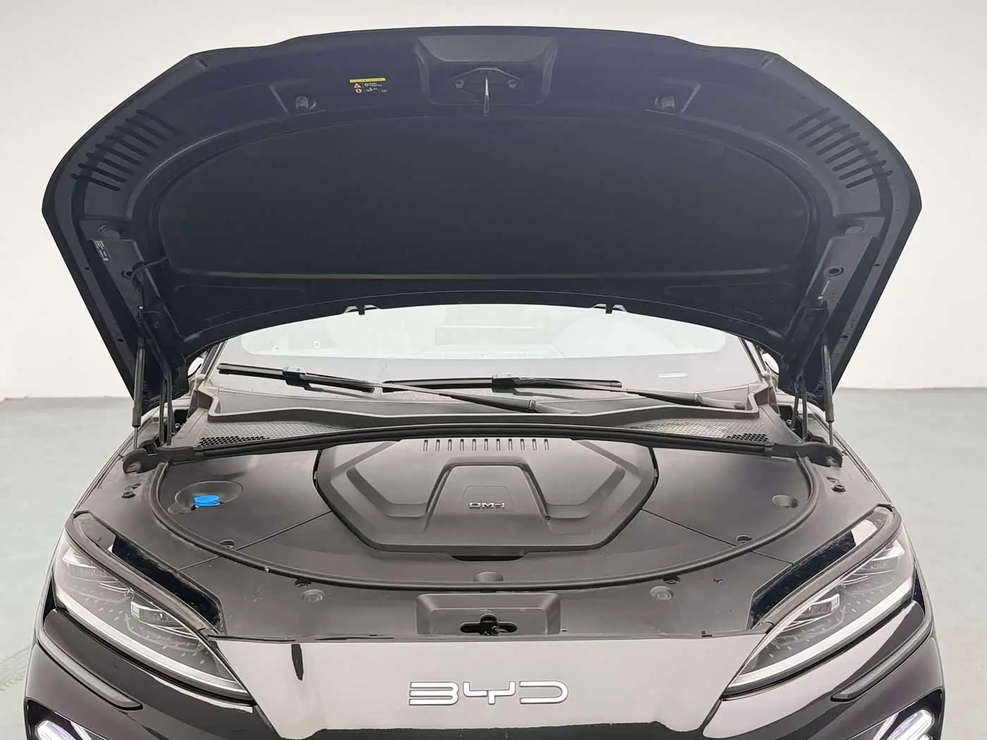 BYD Song PLUS PHEV 2024 — Photo 12/20