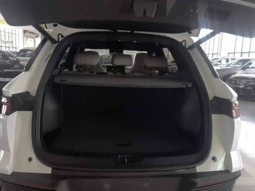 BYD Song Pro New Energy 2024 — Photo 19/20