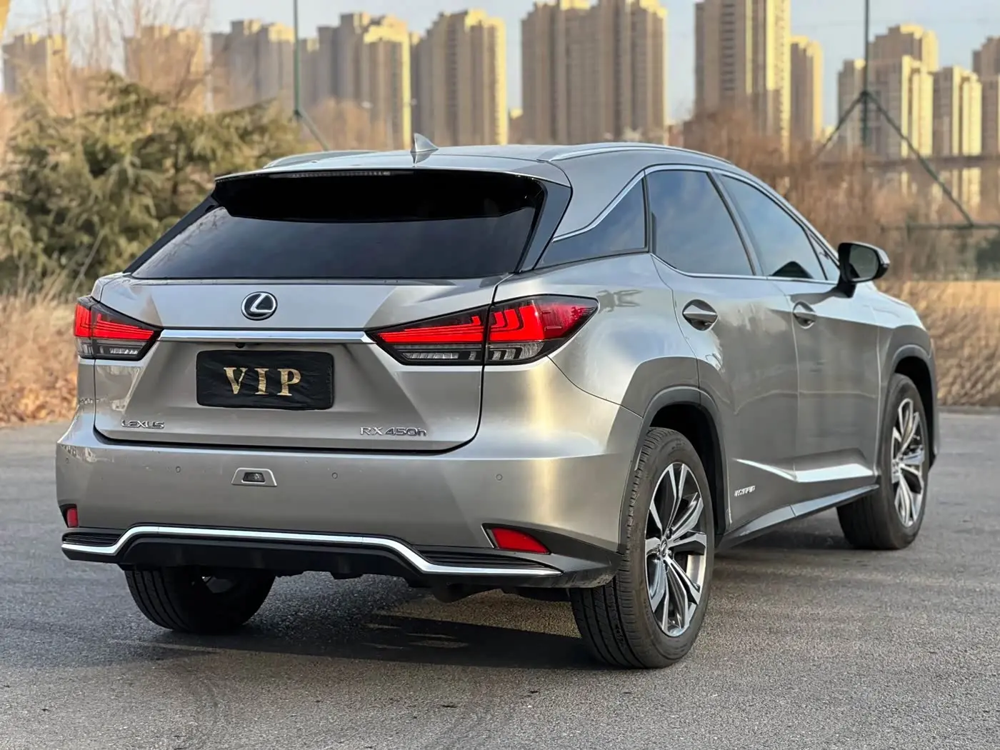 Lexus RX 2020 — Photo 8/17