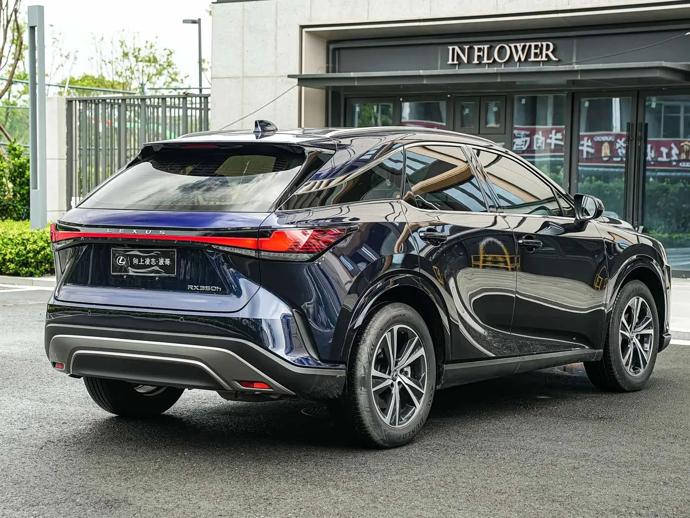 Lexus RX 2023 — Photo 4/20