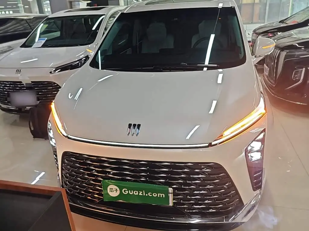 Buick GL8 New Energy 2024 — Photo 3/20