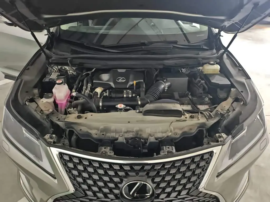Lexus RX 2022 — Şəkil 20/20