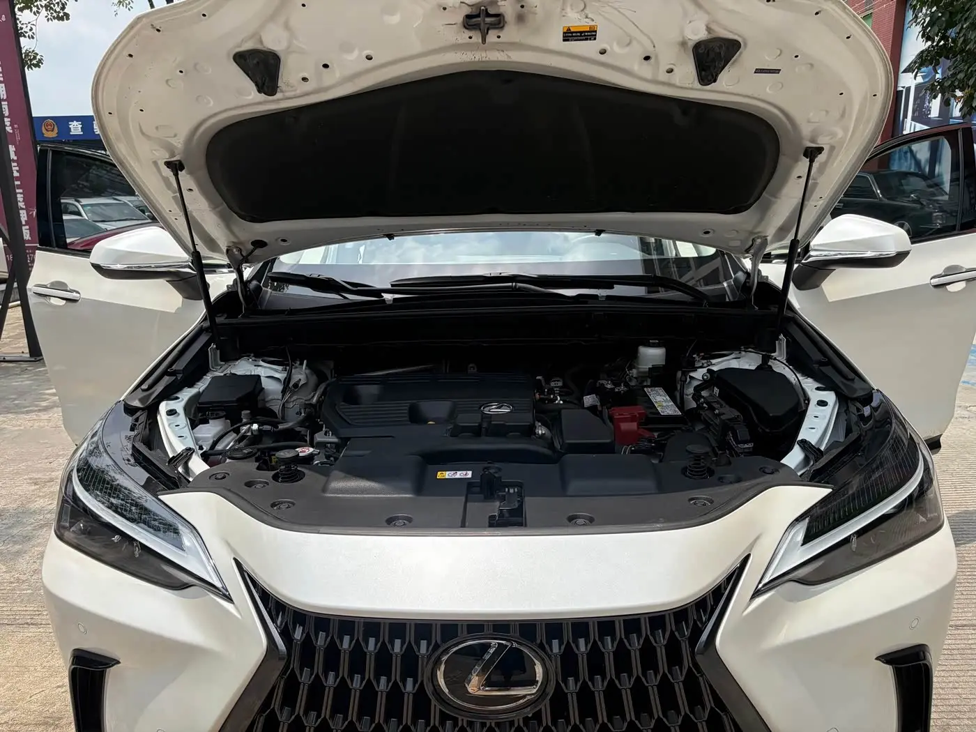 Lexus NX 2023 — Фото 19/20