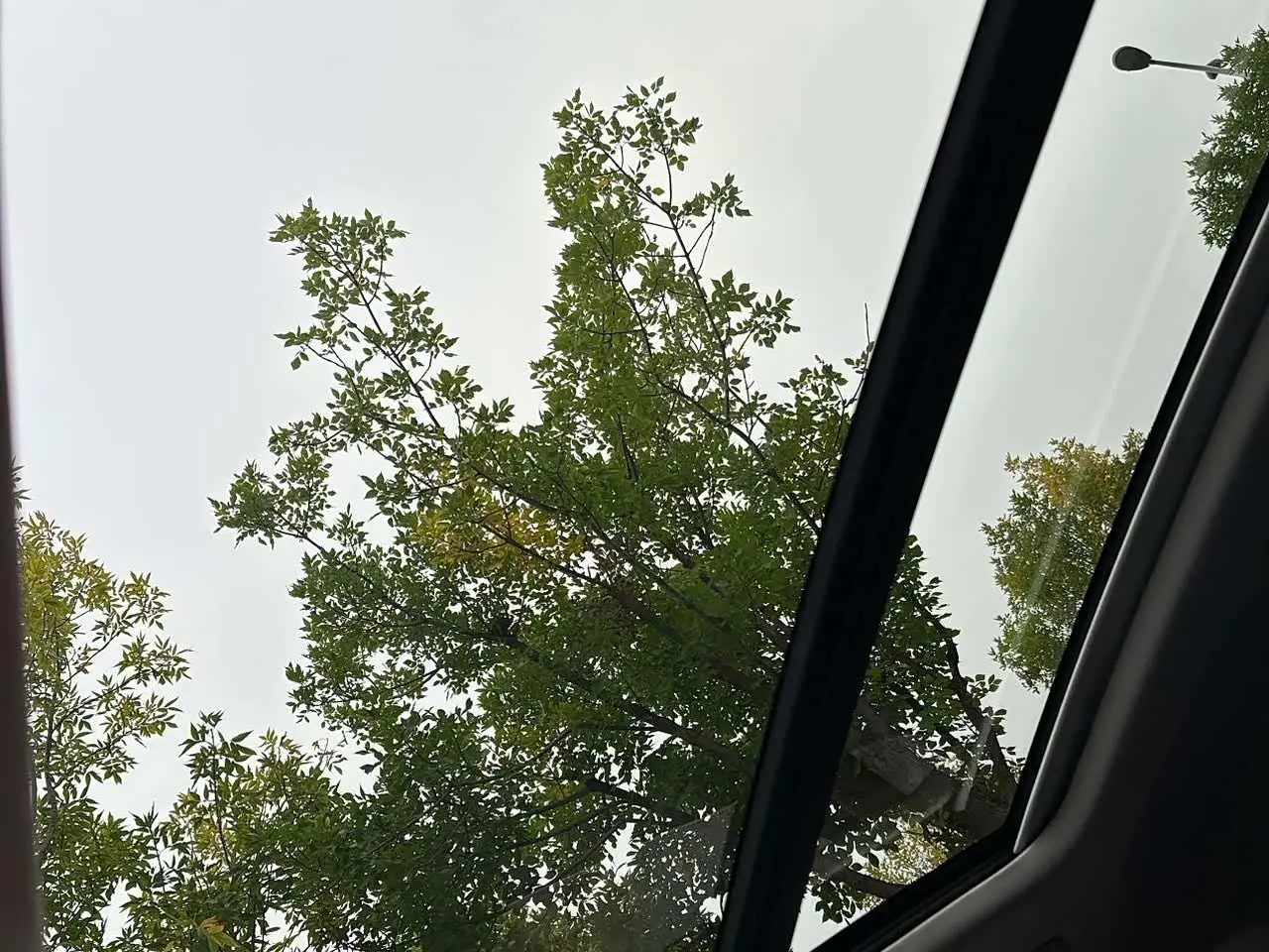 Audi Q3 2022 — Photo 13/20