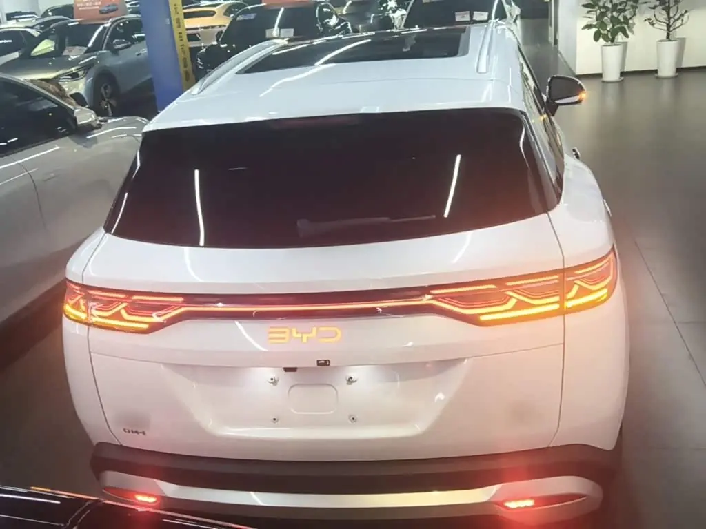 BYD Song L DM-i 2024 — Фото 6/20