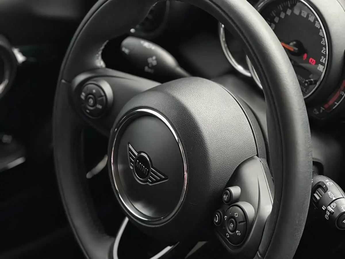 MINI MINI 2020 — Photo 8/19