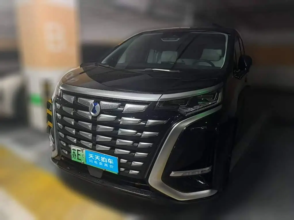 Denza D9 2024 — Şəkil 1/11