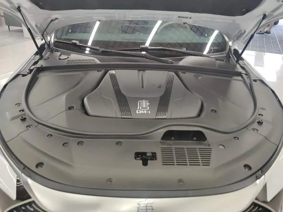 BYD Tang New Energy 2024 — Şəkil 10/16