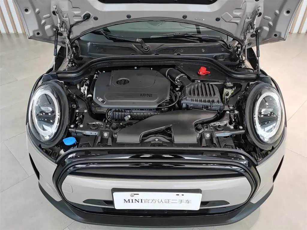 MINI MINI 2022 — Photo 13/14
