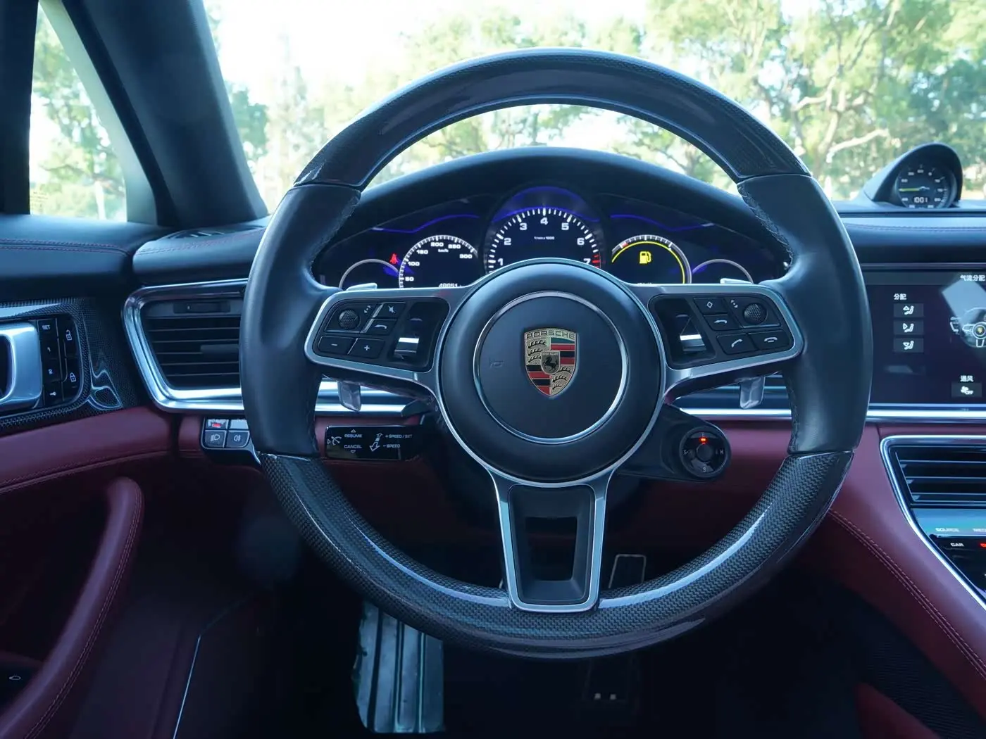 Porsche Panamera New Energy 2020 — Photo 10/19