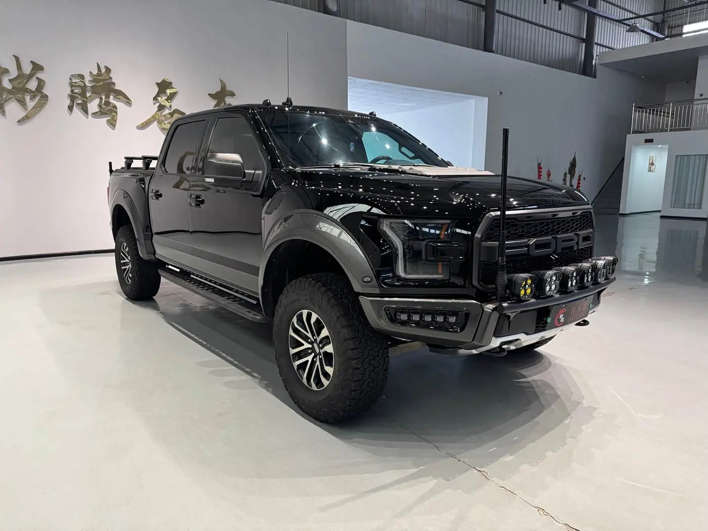 Ford F-150 Raptor 2019 — Фото 8/20