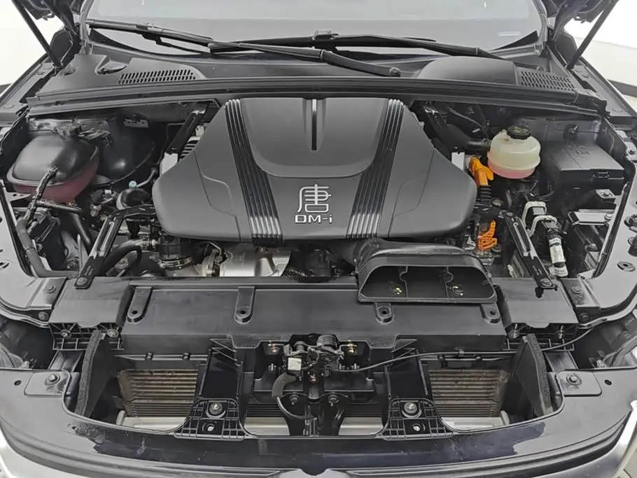 BYD Tang New Energy 2023 — Photo 10/16