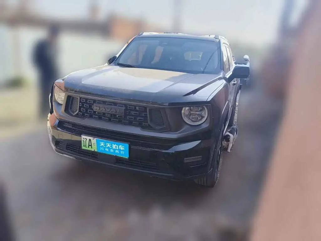 Haval Second-Generation Big Dog New Energy, 2023