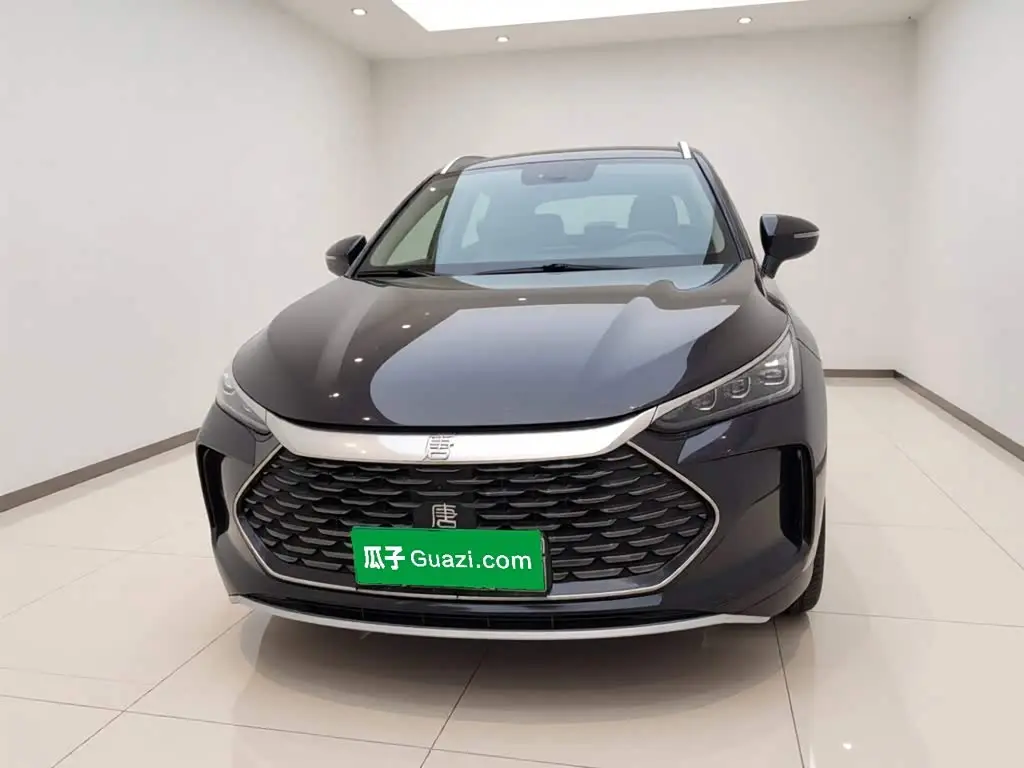 BYD Tang New Energy 2024 — Photo 2/20