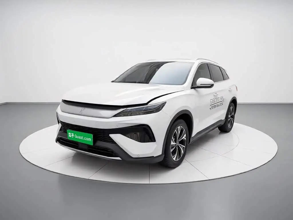 BYD Song Pro New Energy 2025 — Photo 1/20