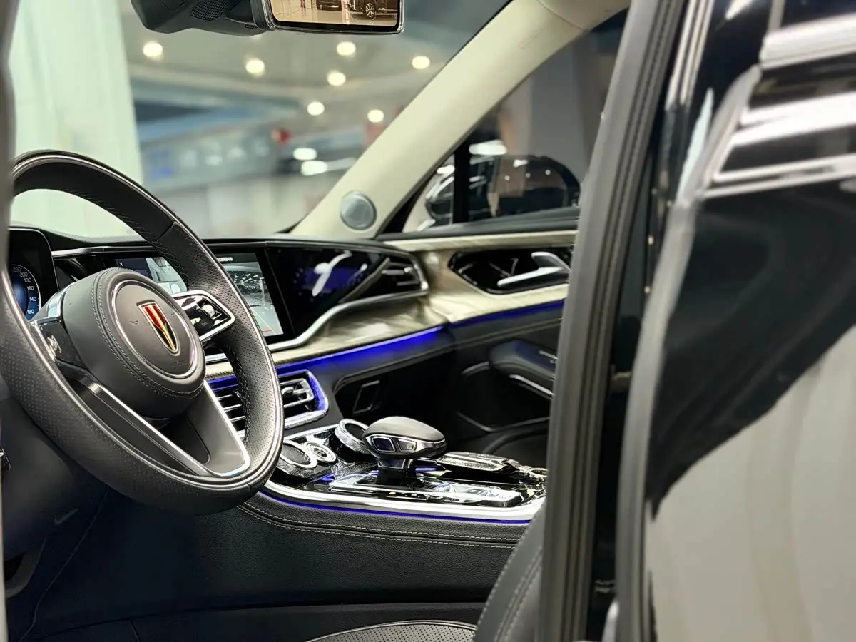 Hongqi H9 2020 — Photo 7/20
