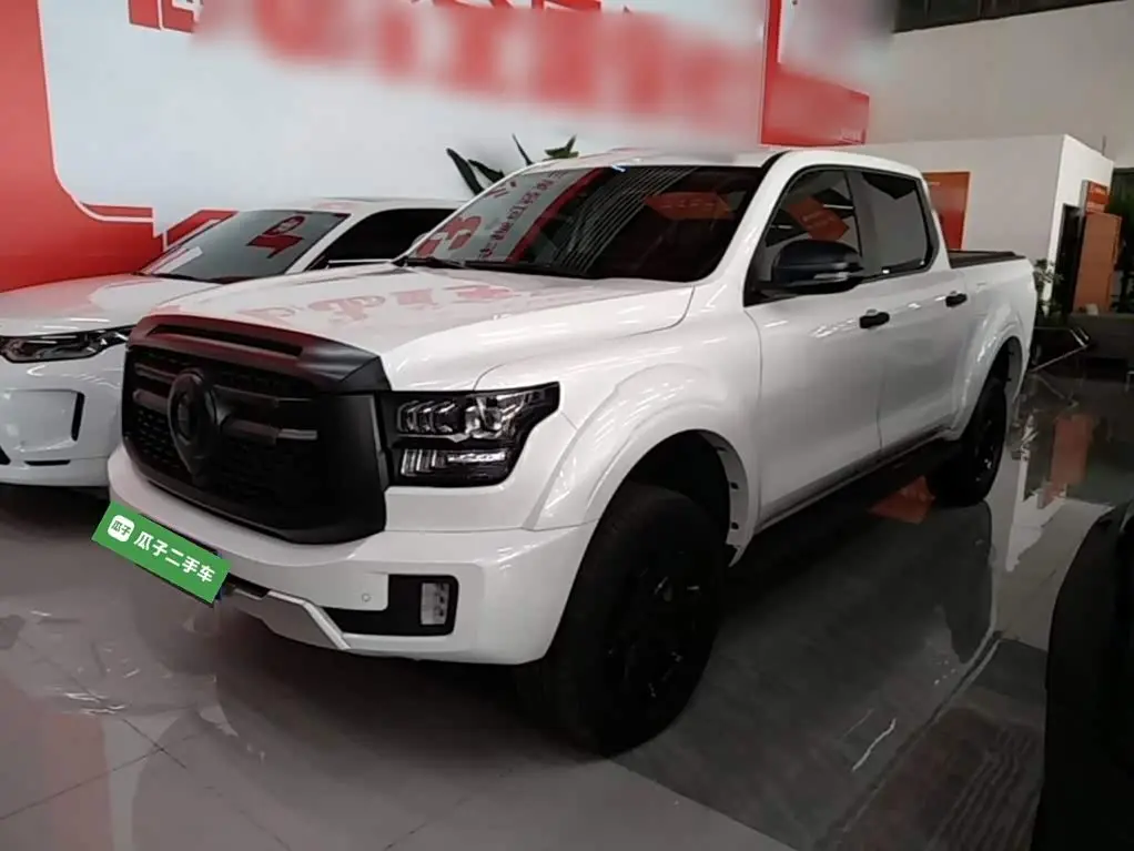 Great Wall Shanhai Cannon 2025 — ფოტო 2/20