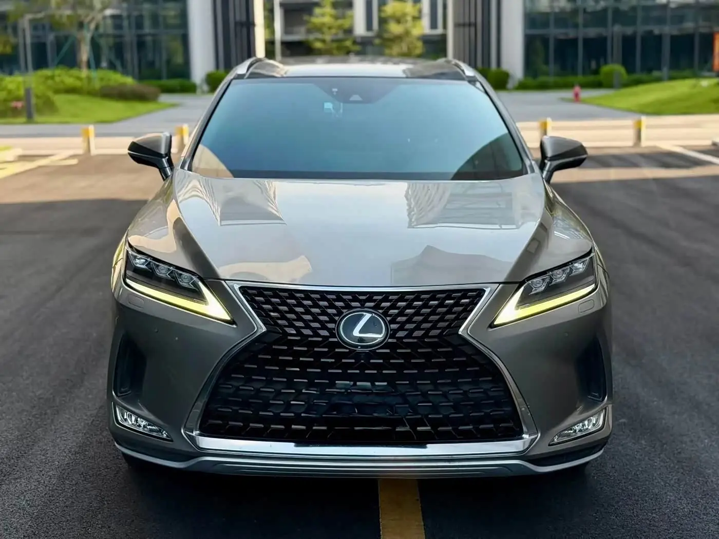 Lexus RX 2020 — Photo 2/10