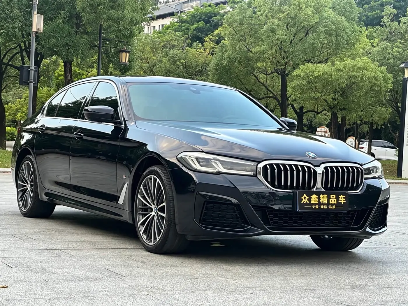 BMW 5 Series 2022 — Photo 3/17