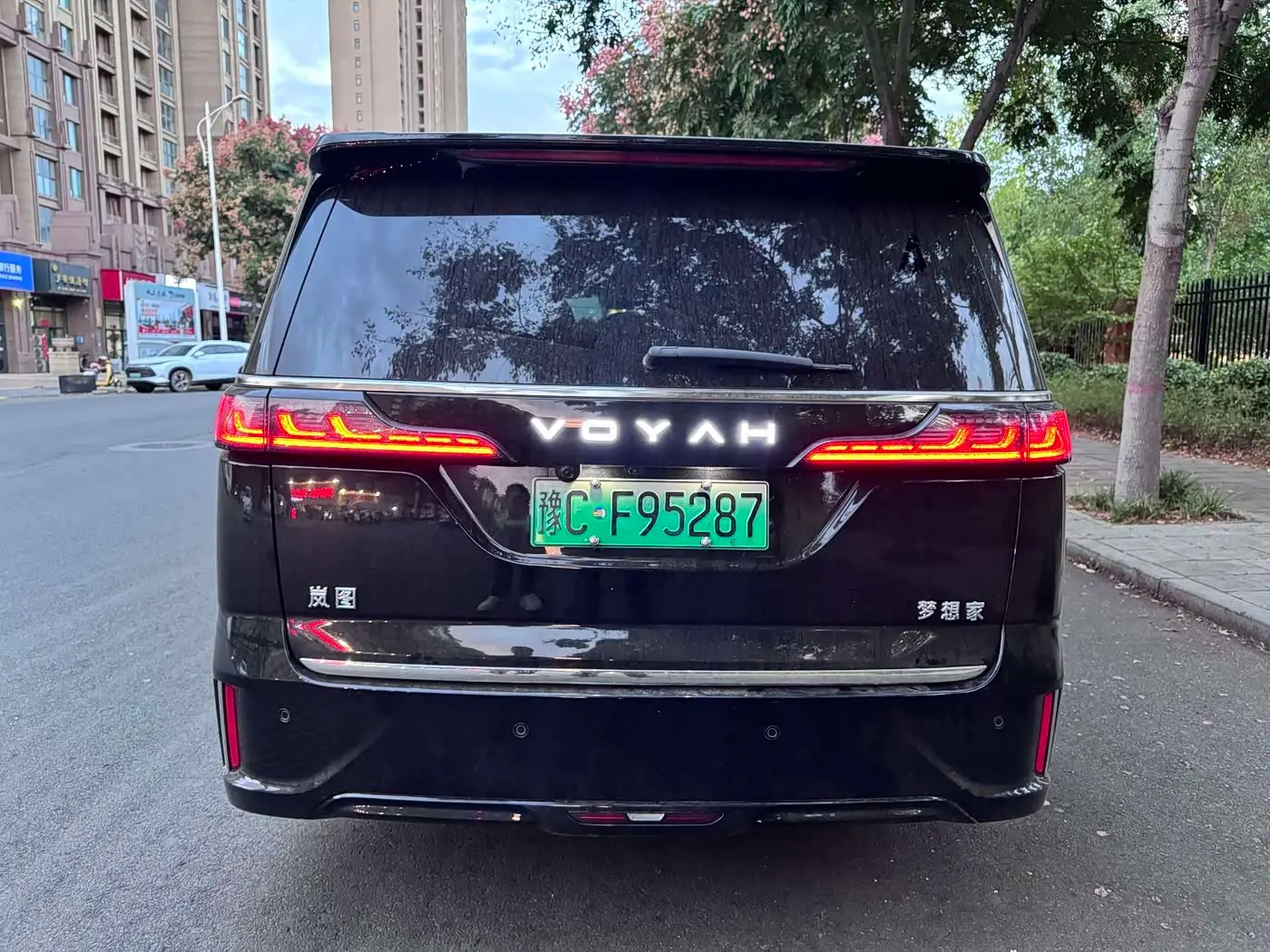 Voyah Auto Voyah Dreamer 2025 — Photo 8/9