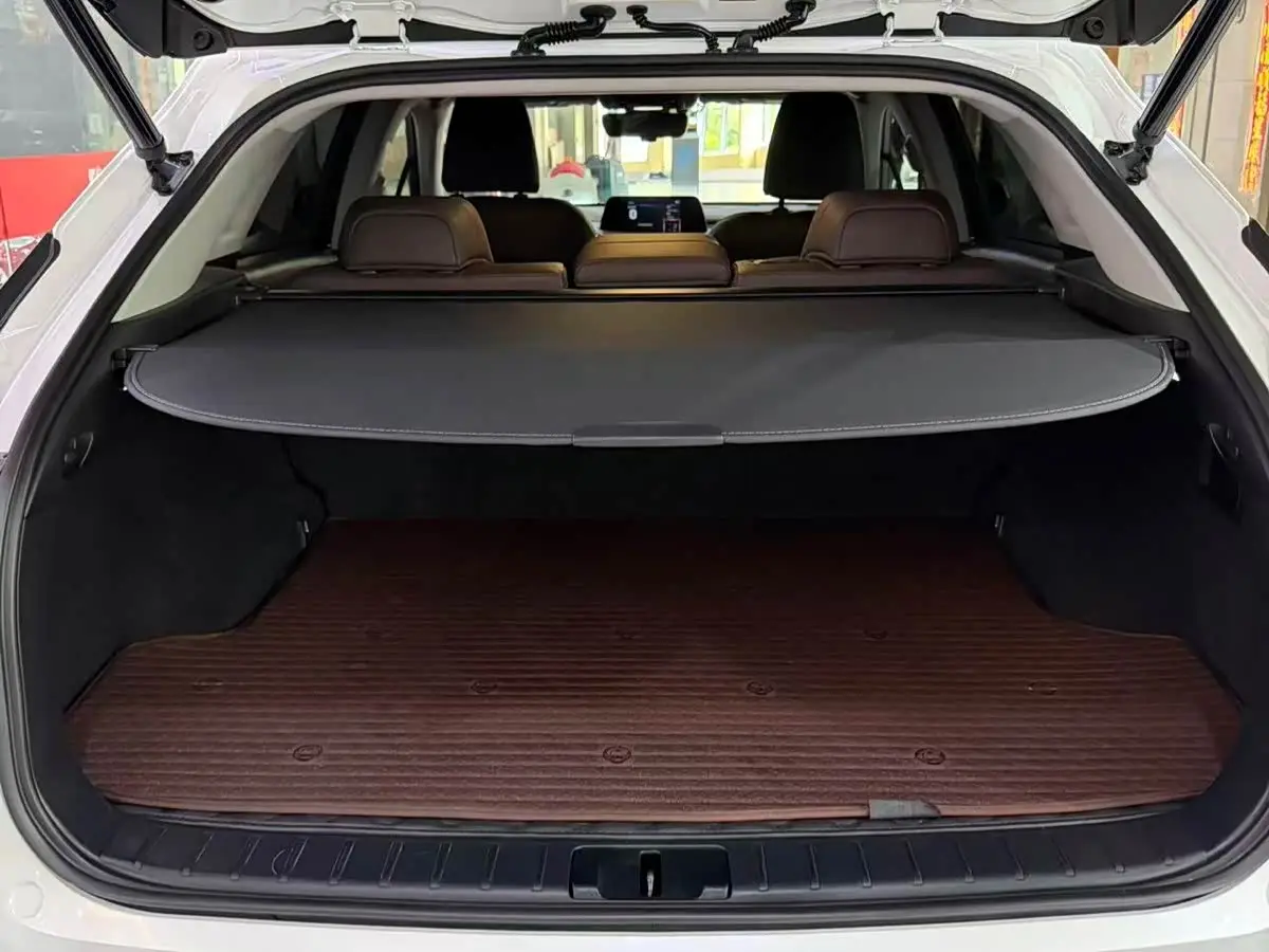 Lexus RX 2022 — Photo 11/13