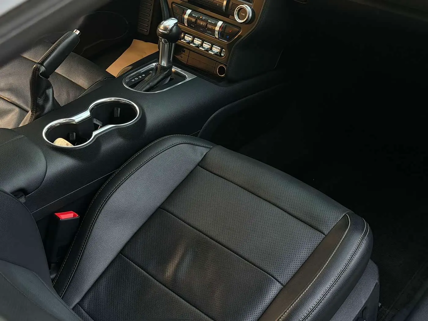 Ford Mustang 2019 — ფოტო 13/14