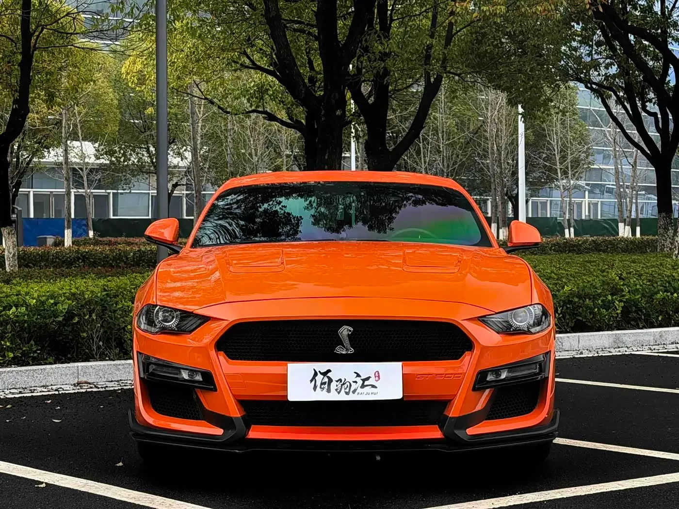 Ford Mustang 2020 — Фото 2/14