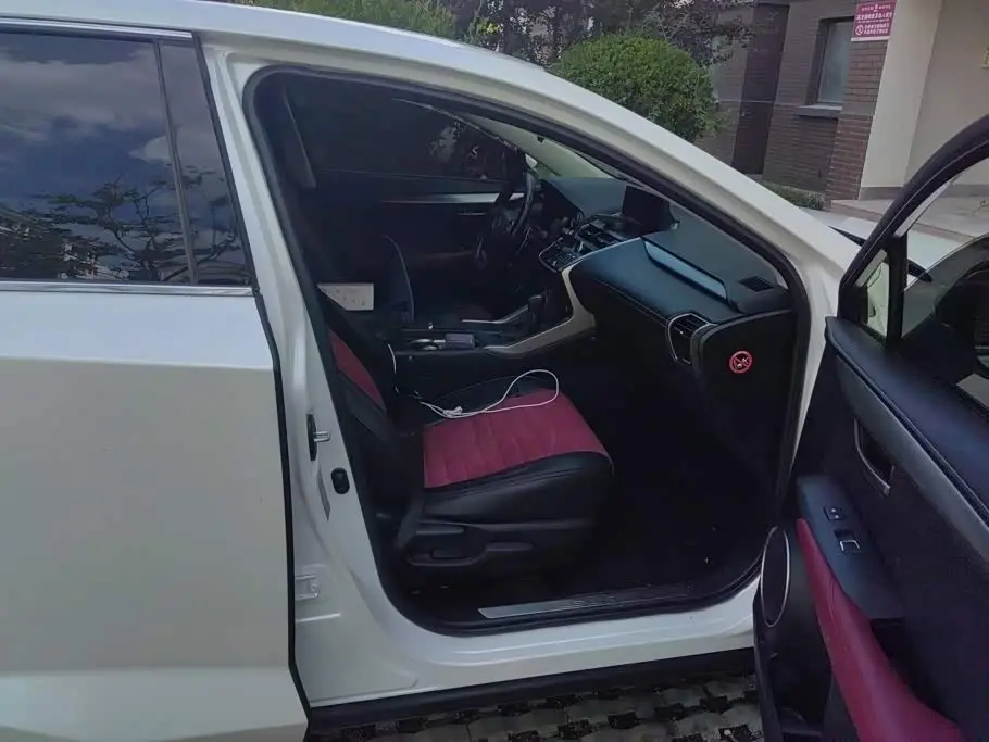 Lexus NX 2021 — Photo 8/16