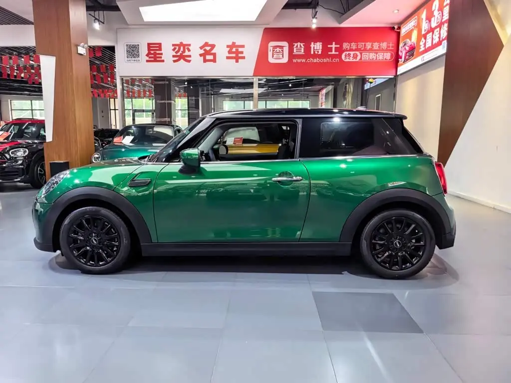 MINI MINI 2022 — ფოტო 3/20