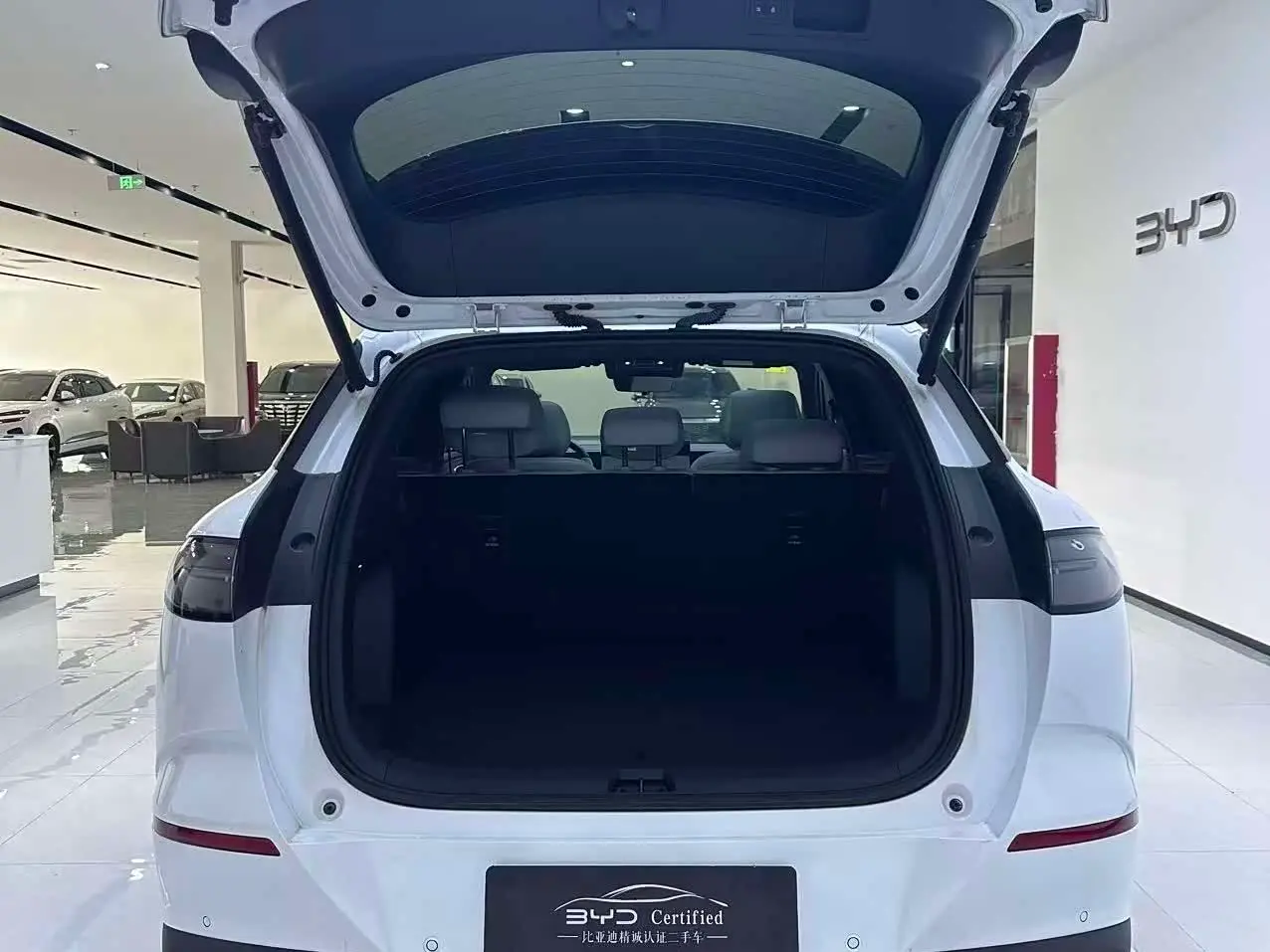 BYD Sealion 06 New Energy 2025 — Фото 11/12