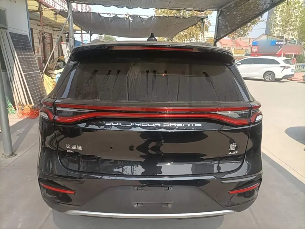 BYD Tang New Energy 2021 — ფოტო 6/20