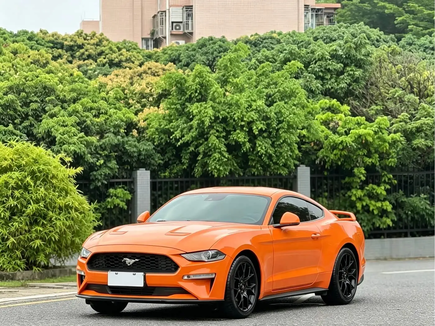 Ford Mustang 2021 — Photo 18/18