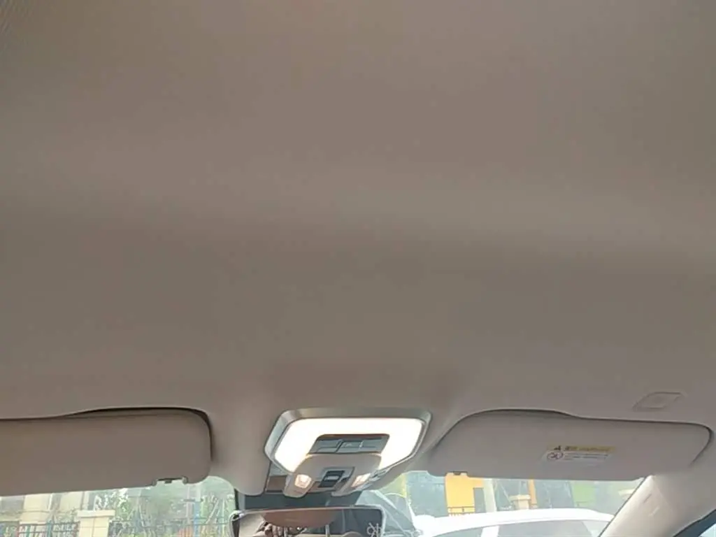 Hongqi HQ9 PHEV 2024 — Photo 18/20