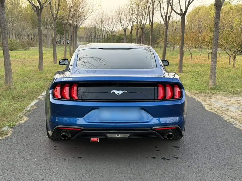 Ford Mustang 2018 — Photo 6/12